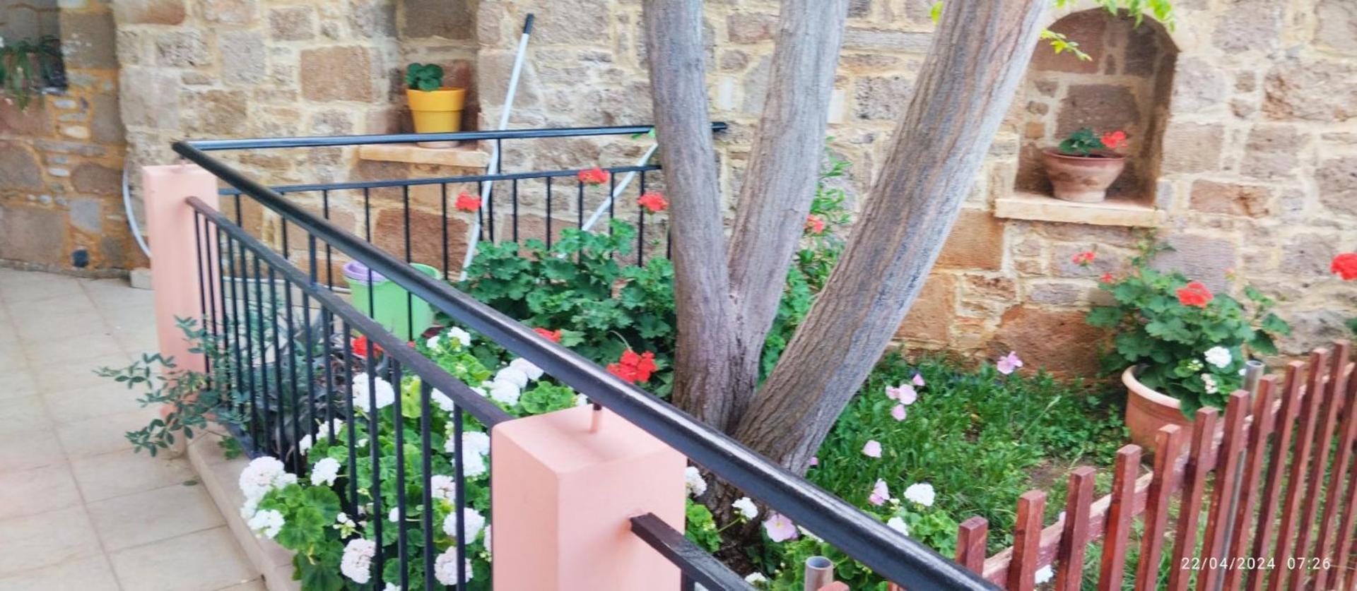 Riza Falasarna Apartments מראה חיצוני תמונה